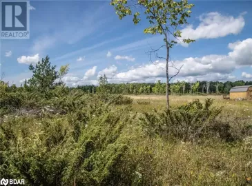 250 MCGUIRE BEACH Road, Kawartha Lakes, ON K0M2B0, ,Vacant Land,For Sale,MCGUIRE BEACH,40469331 250 MCGUIRE BEACH Road, Kawartha Lakes, ON K0M2B0, ,Vacant Land,For Sale,MCGUIRE BEACH,40469331