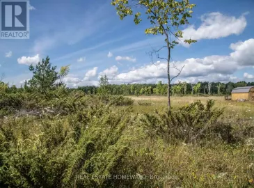 Lot 250 Mcguire Beach Road, Kawartha Lakes, ON K0M2B0, ,Vacant Land,For Sale,Mcguire Beach,X6744628 Lot 250 Mcguire Beach Road, Kawartha Lakes, ON K0M2B0, ,Vacant Land,For Sale,Mcguire Beach,X6744628