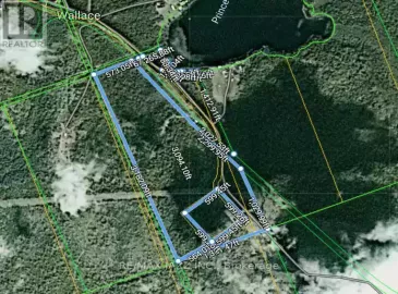1265 Mckenzie Lake Road, South Algonquin, ON K0L2K0, ,Vacant Land,For Sale,Mckenzie Lake,X6749846