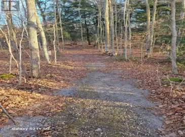 0 Rock Road, Douro-Dummer, Ontario K0L3A0, ,Vacant Land,For Sale,Rock,X7308958 0 Rock Road, Douro-Dummer, Ontario K0L3A0, ,Vacant Land,For Sale,Rock,X7308958