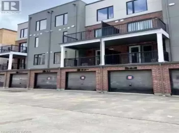 99 ROGER Street, Waterloo, Ontario N2L1A4, 3 Bedrooms Bedrooms, ,3 BathroomsBathrooms,Single Family,For Lease,ROGER,40515199