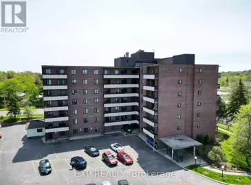 279 Chandler Drive Drive, Kitchener, Ontario N2E1X6, 2 Bedrooms Bedrooms, ,1 BathroomBathrooms,Single Family,For Sale,Chandler Drive,X7318528