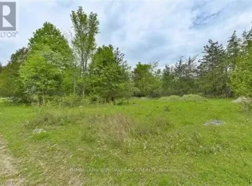 Pt Lt 9 Con 8 Deloro Road, Marmora and Lake, Ontario K0K2M0, ,Vacant Land,For Sale,Con 8 Deloro,X6031969