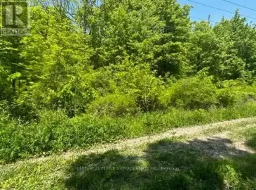 Ptl13 Eagle Street, Fort Erie, ON L2A5M4, ,Vacant Land,For Sale,Eagle,X6057956