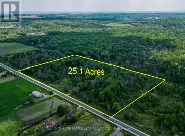 0 County Road 89, Innisfil, ON L0L1L0, ,Vacant Land,For Sale,County Road 89,N6101472