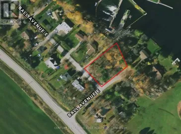 0 Ball, Brock, Ontario L0K1A0, ,Vacant Land,For Sale,Ball,N6645496