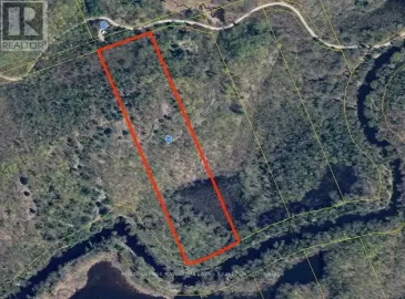 00 Black River Road, Kawartha Lakes, Ontario L0K2B0, ,Vacant Land,For Sale,Black River,X6752742