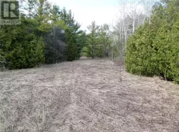 8256 HIGHWAY 7 Highway, Eramosa, Ontario N0B2K0, ,Vacant Land,For Sale,HIGHWAY 7,40090857