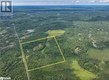 24 10 Concession, Dalton, Ontario, ,Vacant Land,For Sale,10,40310242