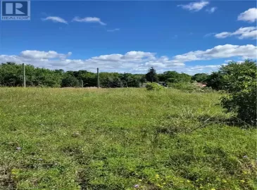 10 MAGGIE Street, Paisley, ON N0G2N0, ,Vacant Land,For Sale,MAGGIE,40308549