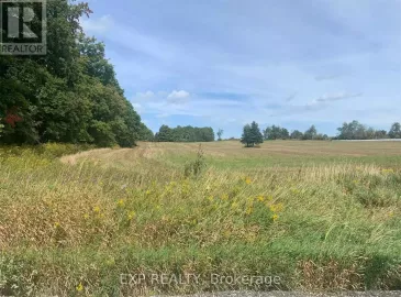 0 Heart Lake Road, Caledon, Ontario L7K2A8, ,Vacant Land,For Sale,Heart Lake,W5768748