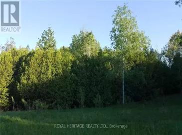 1855 Stevenson Road, Oshawa, Ontario L1H7K4, ,Vacant Land,For Sale,Stevenson,E5784789