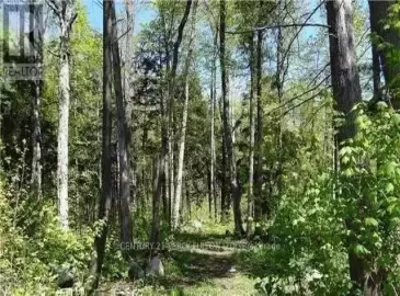 Lot F1 Nippissing Ridge Road, Tiny, Ontario L9M0H6, ,Vacant Land,For Sale,Nippissing Ridge,S5826722