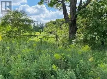 6041 Bloomington Road, Whitchurch-Stouffville, Ontario L4A7X3, ,Vacant Land,For Sale,Bloomington,N5786007