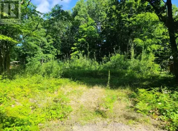 46 Pinecone, Tiny, Ontario L9M0J2, ,Vacant Land,For Sale,Pinecone,S5894761