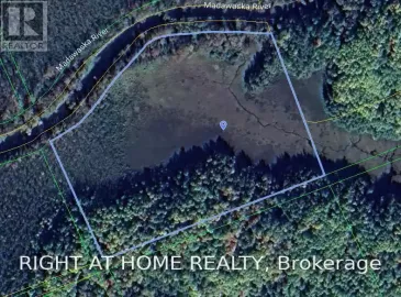 Lt 10 Con 15, Bancroft, ON K0L2L0, ,Vacant Land,For Sale,Con 15,X5919280