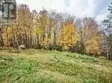 Con 5 Pt Lt 41 Shafley Road, Wainfleet, Ontario L0S1V0, ,Vacant Land,For Sale,Pt Lt 41 Shafley,X6052729