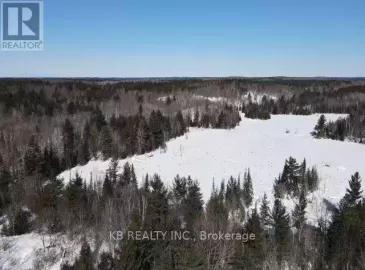 0 Pheasant Farm Road, Addington Highlands, Ontario K0H1P0, ,Vacant Land,For Sale,Pheasant Farm,X6056383