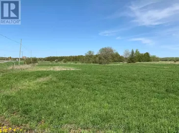 109 Pefferlaw Road, Georgina, Ontario L0E1N0, ,Vacant Land,For Sale,Pefferlaw,N5953788