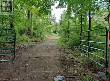 1134 Walkers Line, Algonquin Highlands, Ontario K0M2K0, ,Vacant Land,For Sale,Walkers,X6038400