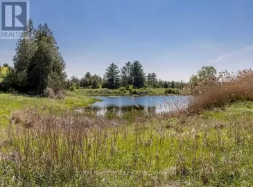 2140 Charleston Sideroad, Caledon, Ontario L7K0R5, ,Vacant Land,For Sale,Charleston,W6078460