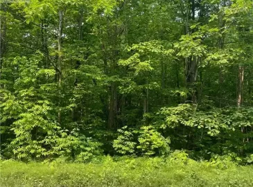 1796 ELLIS Road, Coldwater, ON L0K1E0, ,Vacant Land,For Sale,ELLIS,40437424