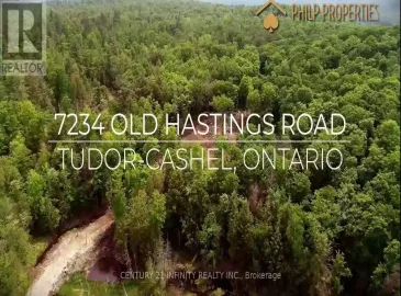 7234 Old Hastings Lot 49 Road, Tudor & Cashel, Ontario K0K1Y0, ,Vacant Land,For Sale,Old Hastings Lot 49,X6625864