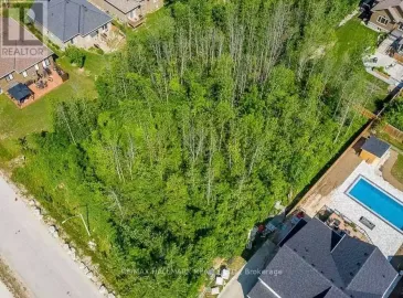 49 Mary Street, Collingwood, Ontario L9Y0G8, ,Vacant Land,For Sale,Mary,S6649884