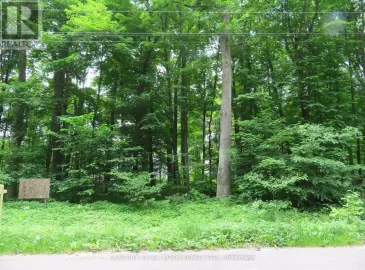 1650 Trader Cowan Road, Severn, ON L0K2C0, ,Vacant Land,For Sale,Trader Cowan,S6649228