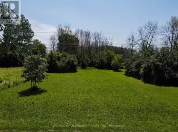 2907 Holiday Road, Ramara, Ontario L0K1B0, ,Vacant Land,For Sale,Holiday,S6659644