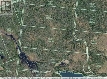 1310 Nipissing Road, Magnetawan, Ontario L0G1R0, ,Vacant Land,For Sale,Nipissing,X6657328