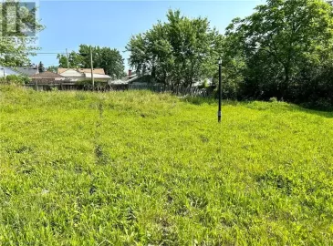 29 OAKWOOD Avenue, St. Catharines, Ontario L2P1L3, ,Vacant Land,For Sale,OAKWOOD,40440300