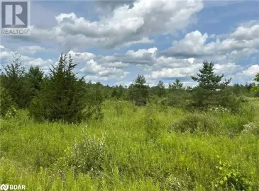 WOOD Road, Tay Twp, Ontario L0K2E0, ,Vacant Land,For Sale,WOOD,40454046