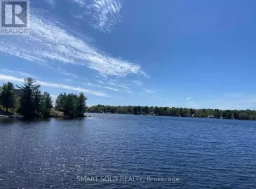 556 Hartley Bay Road, Killarney, Ontario P0M1A0, 3 Bedrooms Bedrooms, ,1 BathroomBathrooms,Single Family,For Sale,Hartley Bay,X6674888