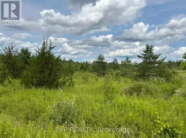 0 Wood Road, Tay, Ontario L0K2E0, ,Vacant Land,For Sale,Wood,S6678044