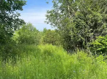 Ptlt14 Con 3, Westport, ON K0G1X0, ,Vacant Land,For Sale,Con 3,X6678888