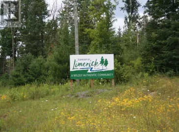 Ptlt 19 Conc 1 Hwy 62, Limerick, Ontario K0K1P0, ,Vacant Land,For Sale,Conc 1 Hwy 62,X6681046