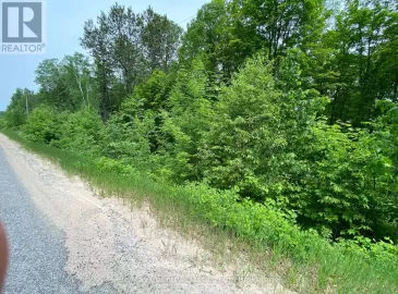 0 Musclow Greenview Road, Bancroft, Ontario K0L1C0, ,Vacant Land,For Sale,Musclow Greenview,X6565138