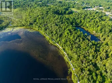 0 Sharbot Lake, Central Frontenac, Ontario K0H2P0, ,Vacant Land,For Sale,Sharbot Lake,X6694896