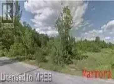 160 MARBLE POINT Road, Marmora and Lake, ON K0K2M0, ,Vacant Land,For Sale,MARBLE POINT,40453841