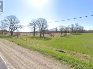 6671 County Road 9, Clearview, ON L0M1N0, ,Vacant Land,For Sale,County Road 9,S6707526