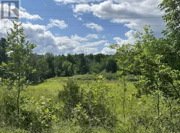 0 Scotch Settlement Road, Madoc, Ontario K0K2K0, ,Vacant Land,For Sale,Scotch Settlement,X6708582