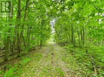 Pt Lt 12 Con 9, Stone Mills, Ontario K0K3G0, ,Vacant Land,For Sale,12 Con 9,X6715894