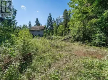 97 Yearley Comm Ctr Road, Huntsville, Ontario P0B1M0, ,Vacant Land,For Sale,Yearley Comm Ctr,X6723802