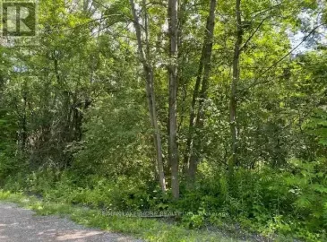 B3 Old Shelter Valley Road, Cramahe, Ontario K0K1M0, ,Vacant Land,For Sale,Old Shelter Valley,X6735914