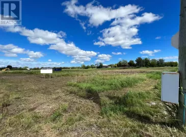 N/A Henderson Road, Milton, Ontario L9E0K2, ,1 BathroomBathrooms,Vacant Land,For Sale,Henderson,W6741730