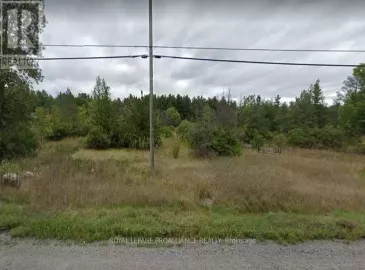 102184 Highway 7, Marmora and Lake, Ontario K0K2M0, ,Vacant Land,For Sale,Highway 7,X6742944