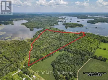 Na Birch Point Road, Trent Hills, Ontario K0L1Y0, ,Vacant Land,For Sale,Birch Point,X6751964