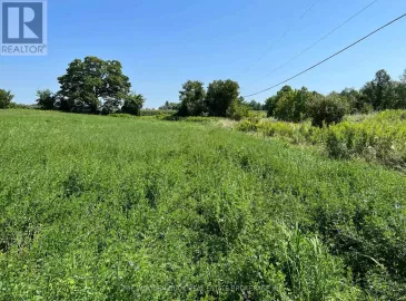 0 Webster Road, Douro-Dummer, Ontario K0L3A0, ,Vacant Land,For Sale,Webster,X6757978