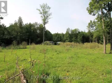 6906 County Rd 41 Road, Stone Mills, Ontario K0K2A0, ,Vacant Land,For Sale,County Rd 41,X6761118